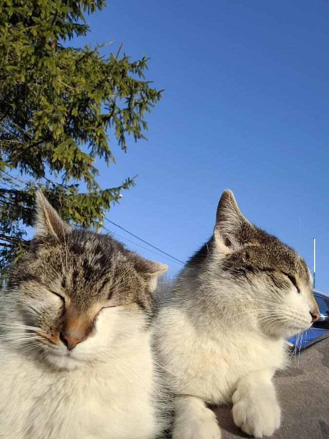 Uroczysko Skomackie Alt Jucha Exterior foto